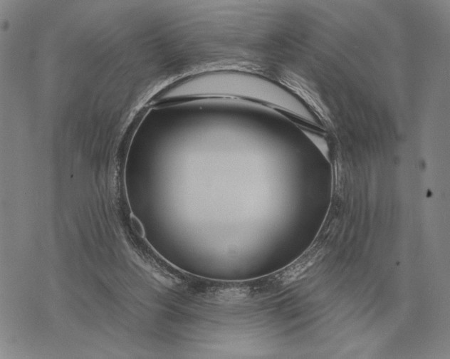 X0000071830156200607211810