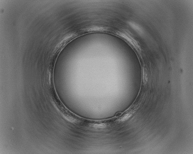 X0000071830157200607211810