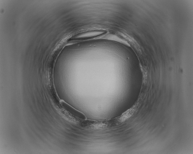 X0000071830158200607211810