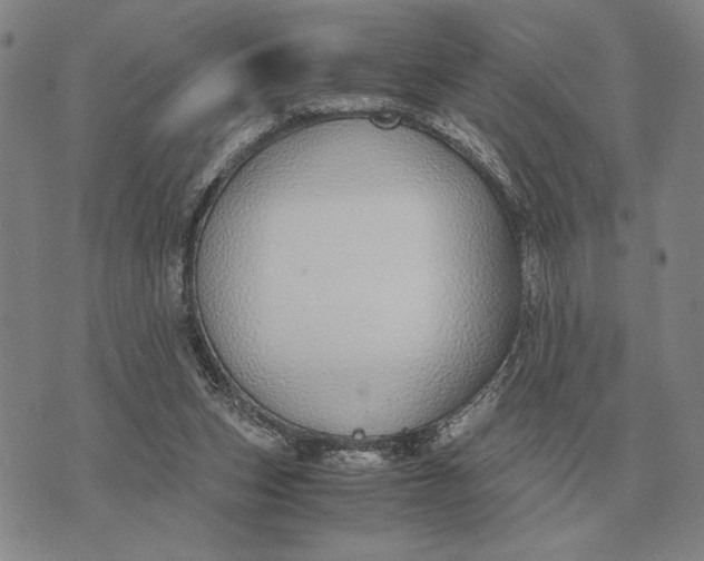 X0000071830159200607211810