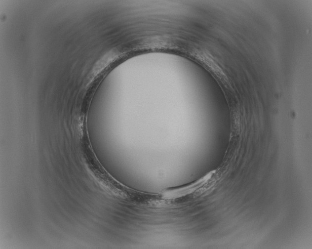 X0000071830160200607211810