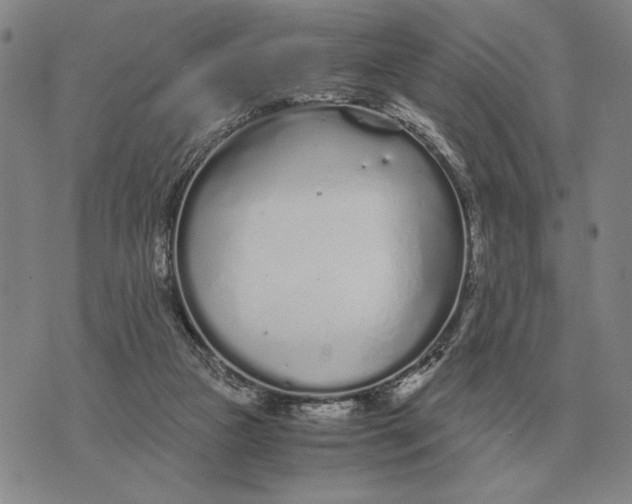 X0000071830161200607211810