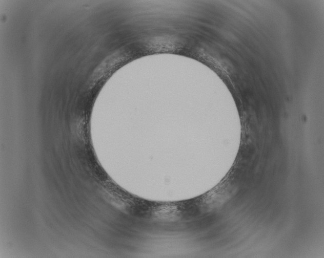 X0000071830162200607211810