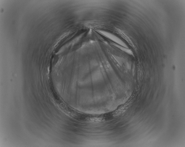 X0000071830163200607211810