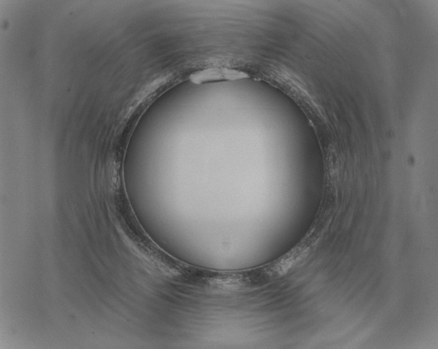 X0000071830164200607211810