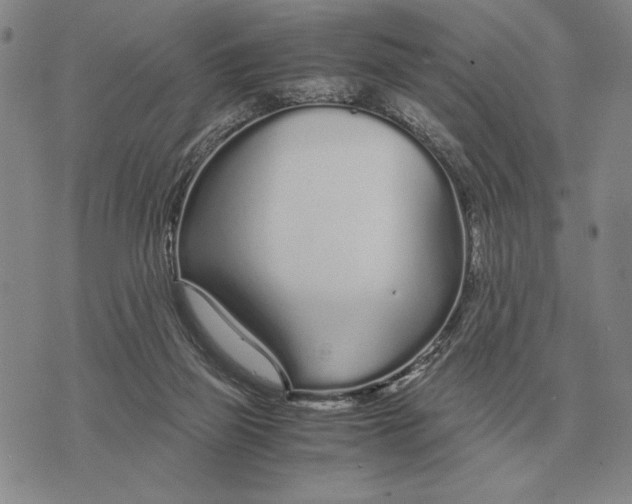 X0000071830165200607211810