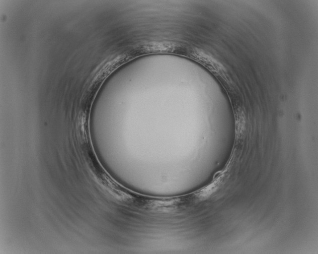 X0000071830166200607211810