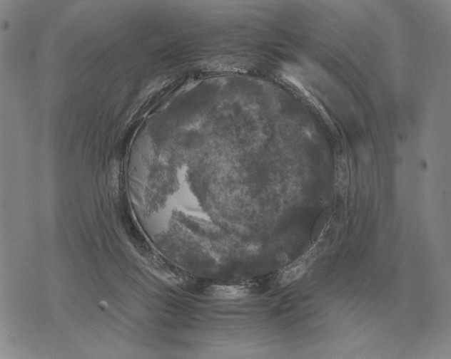 X0000071830167200607211811