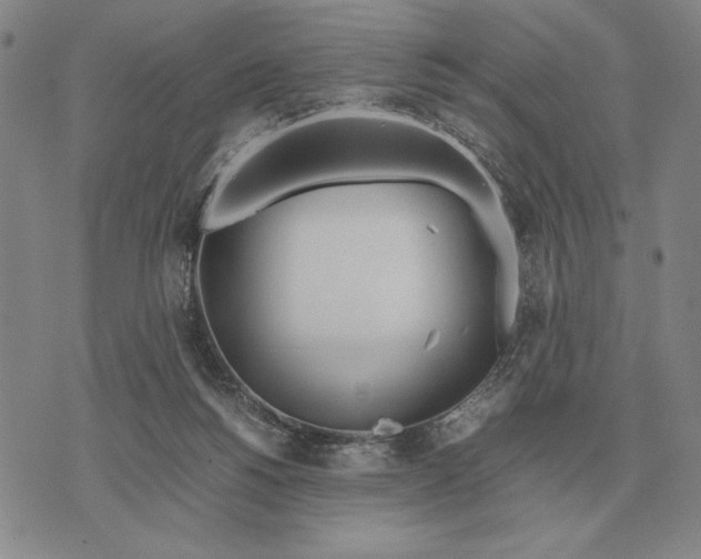 X0000071830168200607211811