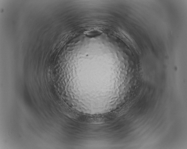 X0000071830169200607211811