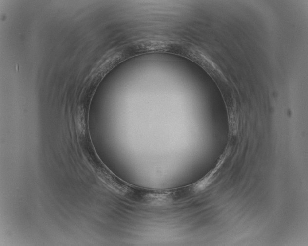 X0000071830170200607211811