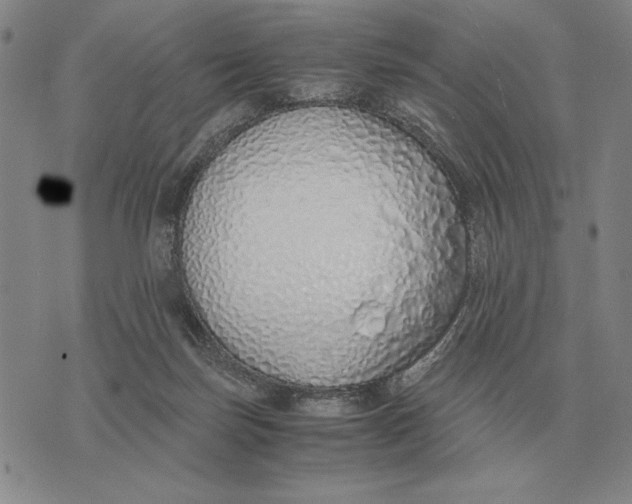 X0000071830171200607211811