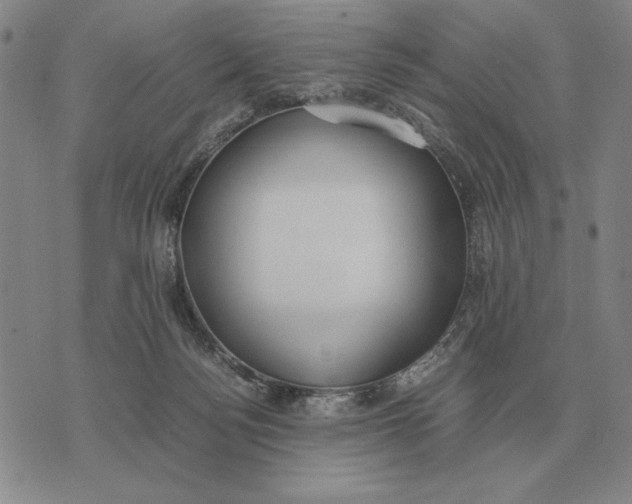 X0000071830172200607211811