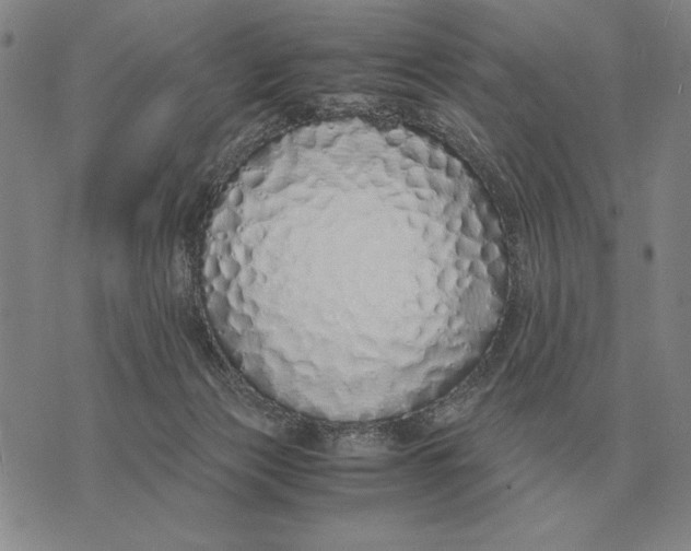 X0000071830173200607211811