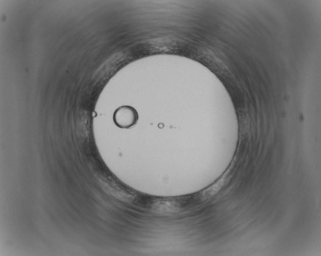 X0000071830174200607211811