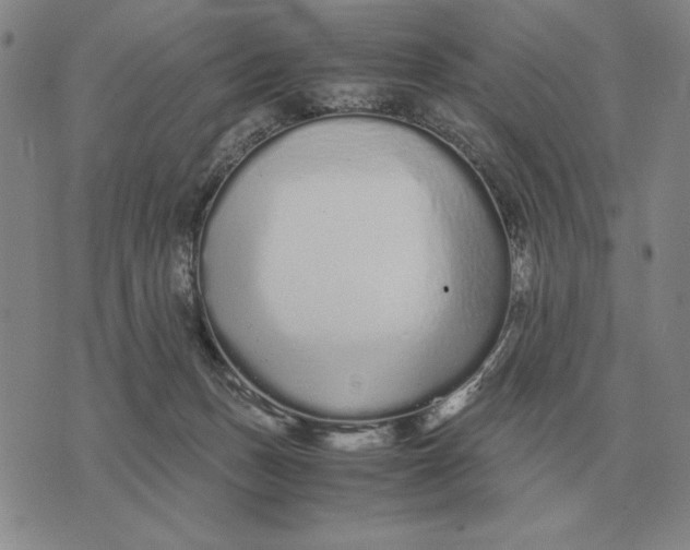 X0000071830175200607211811