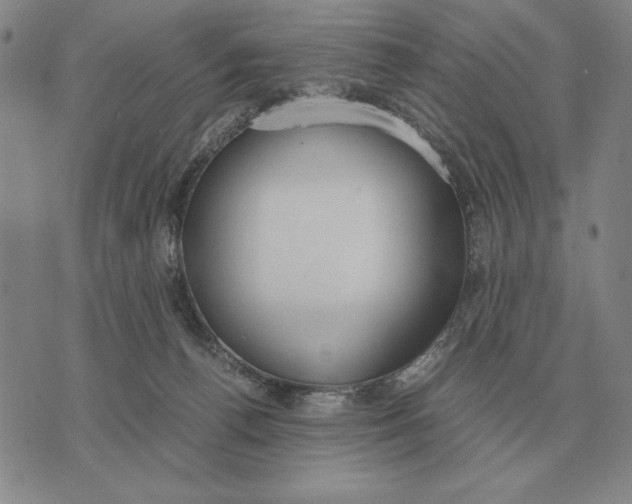 X0000071830176200607211811