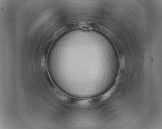 X0000071830178200607211811