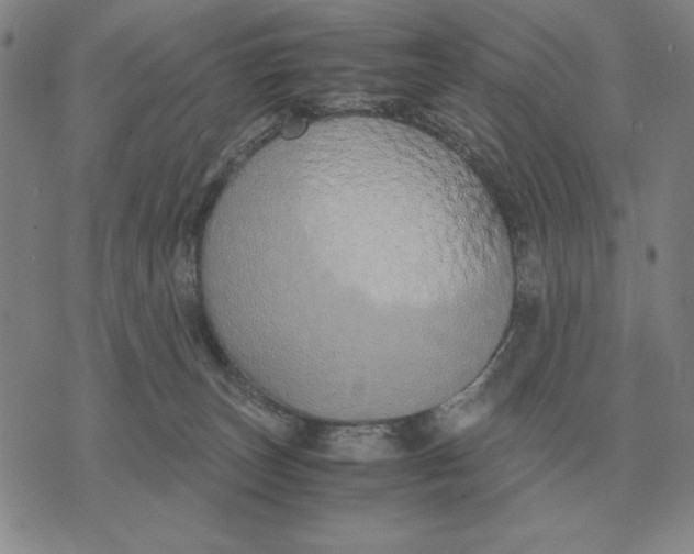 X0000071830179200607211811