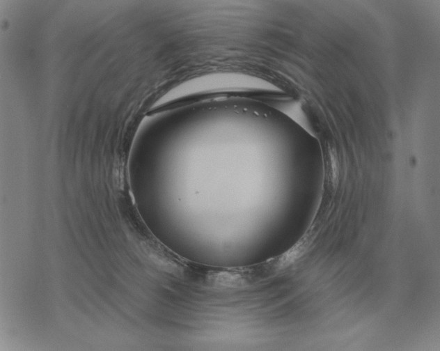 X0000071830180200607211811