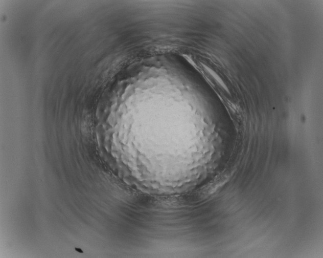 X0000071830181200607211811