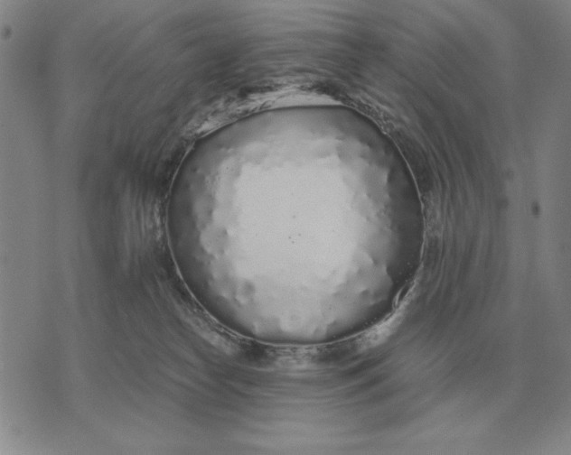 X0000071830182200607211811