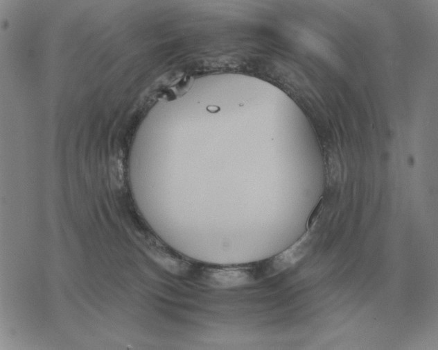 X0000071830183200607211811