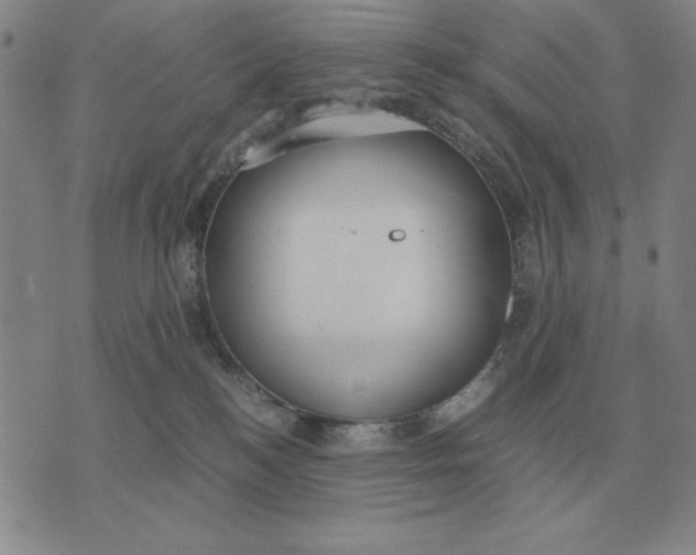 X0000071830184200607211811