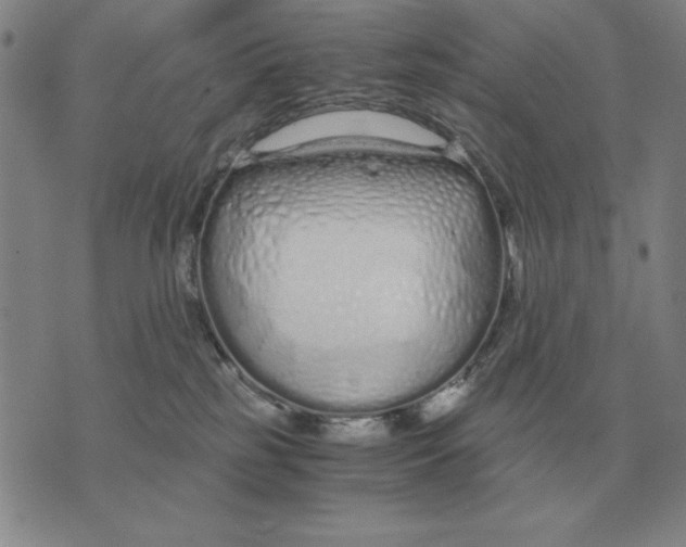 X0000071830185200607211811