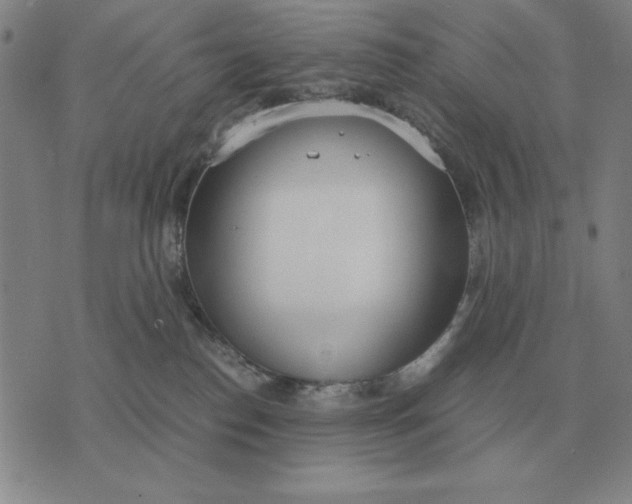 X0000071830186200607211811