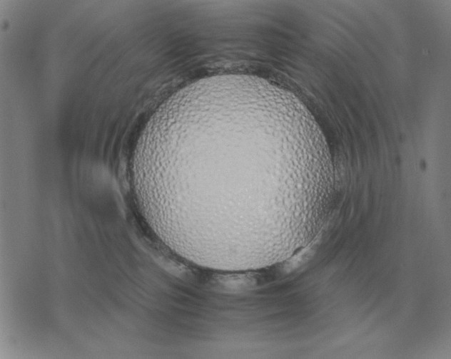 X0000071830187200607211811