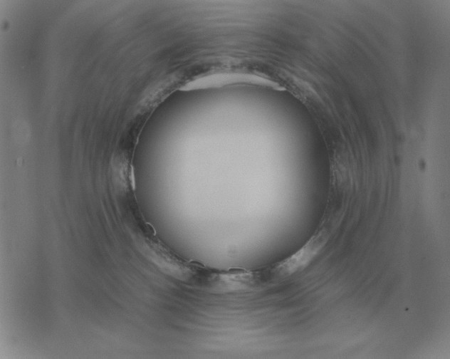 X0000071830188200607211811