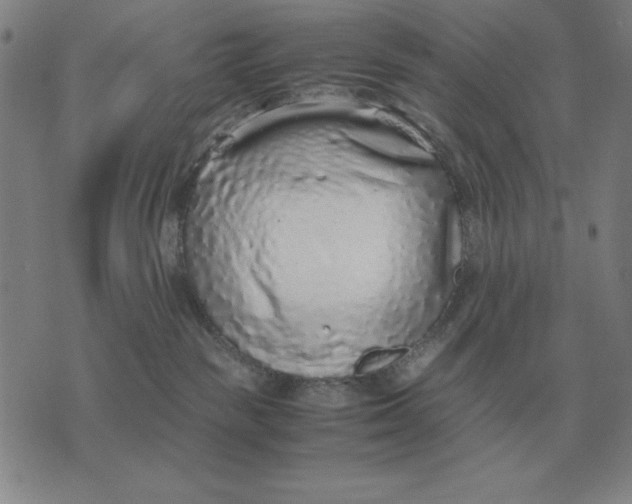 X0000071830189200607211811