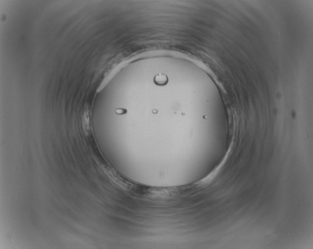 X0000071830190200607211811