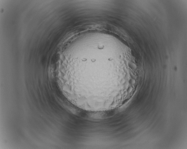 X0000071830191200607211811