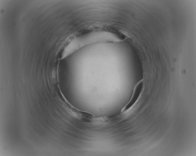 X0000071830192200607211811