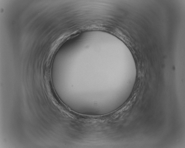 X0000071830193200607211810