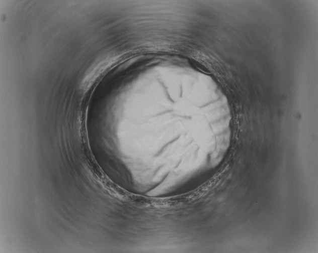 X0000071830194200607211810