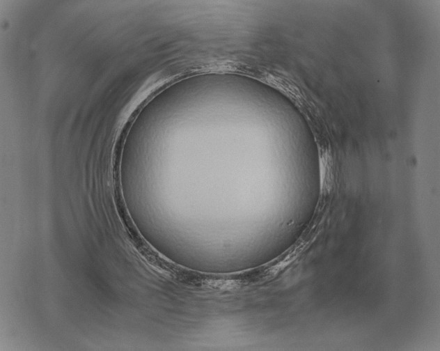 X0000071830195200607211810