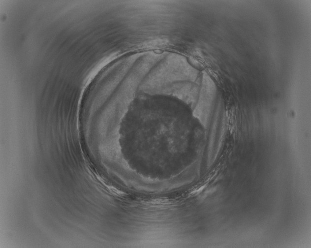 X0000071830196200607211810