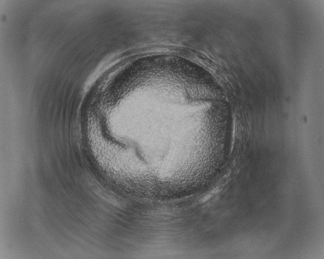 X0000071830198200607211810