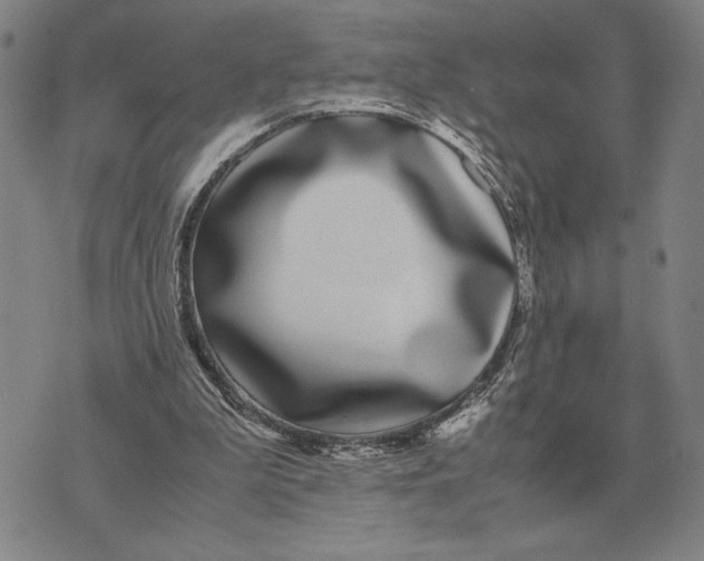 X0000071830199200607211810