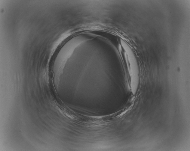 X0000071830200200607211810