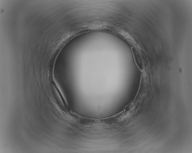 X0000071830201200607211810