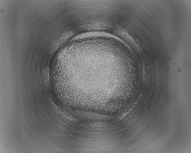 X0000071830202200607211810