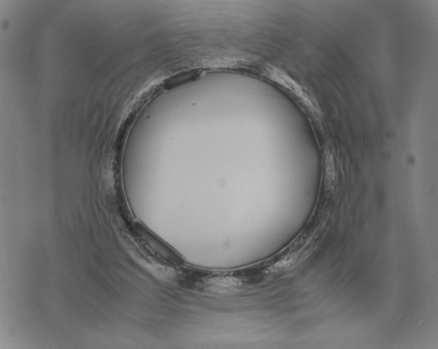 X0000071830203200607211810