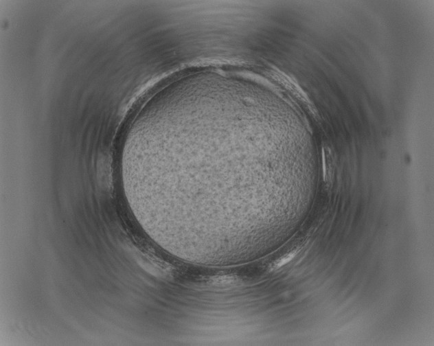 X0000071830204200607211810