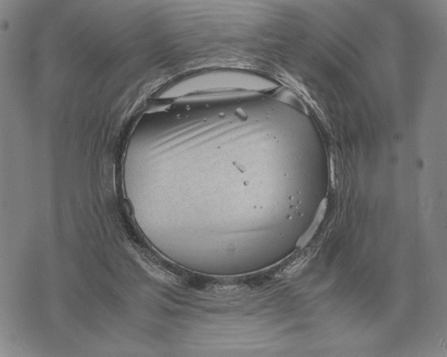 X0000071830205200607211810