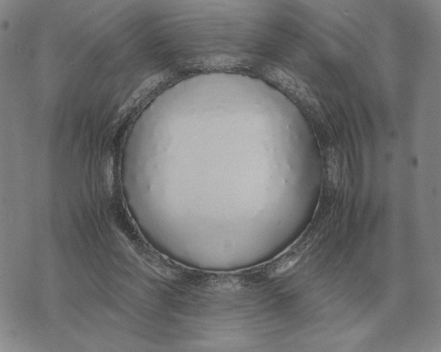 X0000071830206200607211810