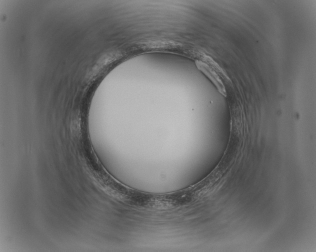 X0000071830207200607211810